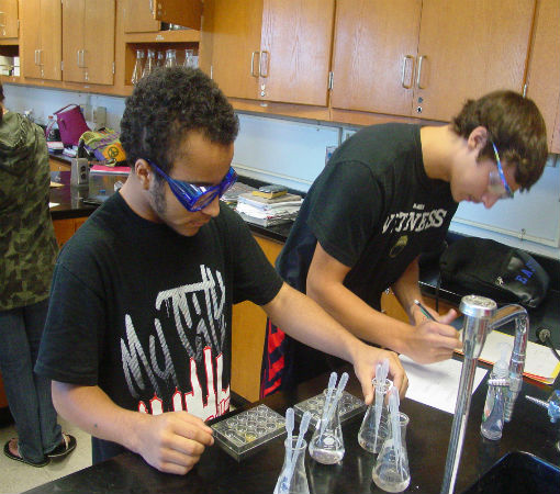 Qualitative Analysis