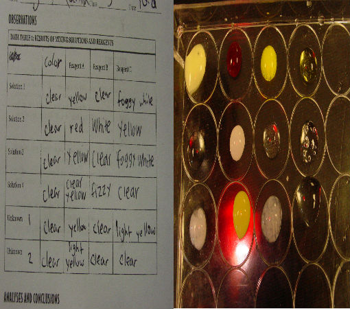 Data table and well plate