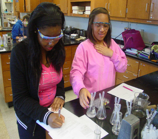 Qualitative Analysis